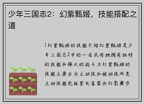 少年三国志2：幻紫甄姬，技能搭配之道
