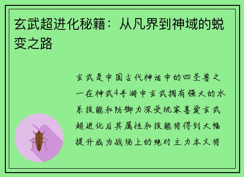 玄武超进化秘籍：从凡界到神域的蜕变之路
